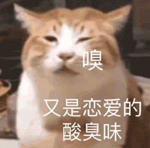 表情| 一些猫咪表情包