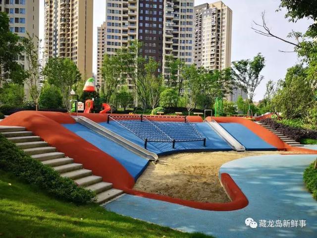 
幼儿园、小学、初中、高中！藏龙岛个个都急缺！官方回应了！


