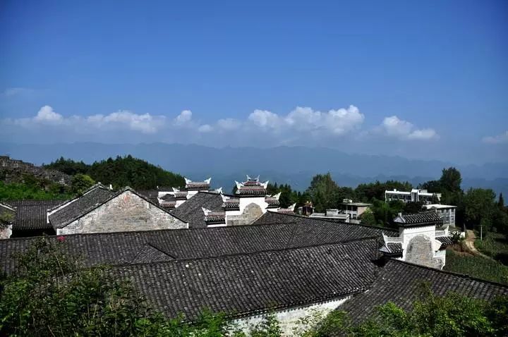 柏杨镇人口_柏杨豆干(2)