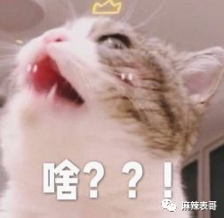 原创
骂网友是酸民,说从没伪装哈佛学历,范玮琪的脸皮有点厚呀
原创
骂网友是酸民,说从没伪装哈佛学历,范玮琪的脸皮有点厚呀