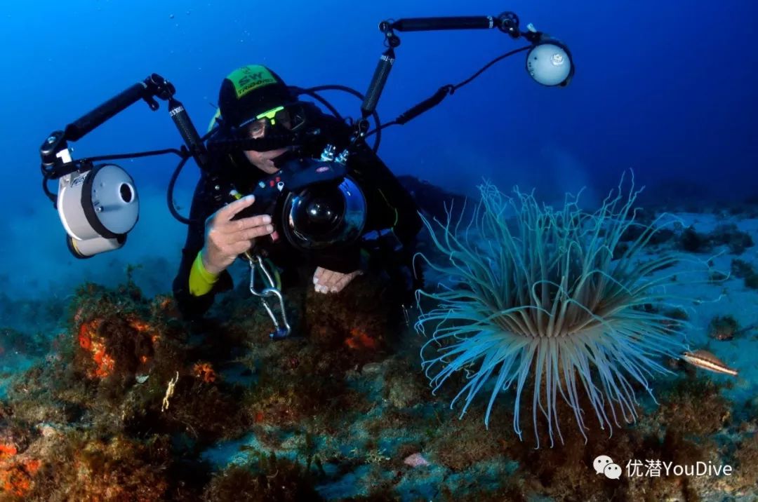 海编说:随着水下摄影器材价格越来越亲民(但海编还是买不起啊?