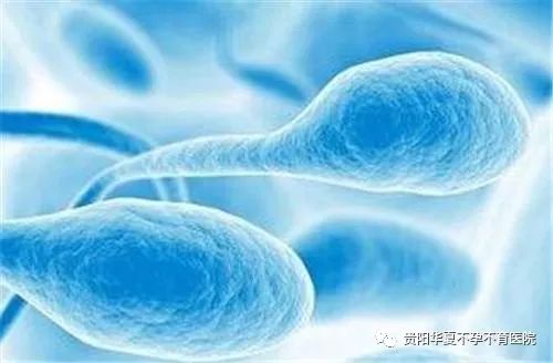 无精症,睾丸炎,支原体,衣原体,睾丸的病变,烟酒,身体的状态等都会导致