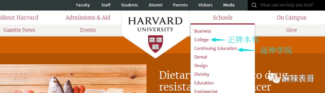 原创
骂网友是酸民,说从没伪装哈佛学历,范玮琪的脸皮有点厚呀
原创
骂网友是酸民,说从没伪装哈佛学历,范玮琪的脸皮有点厚呀