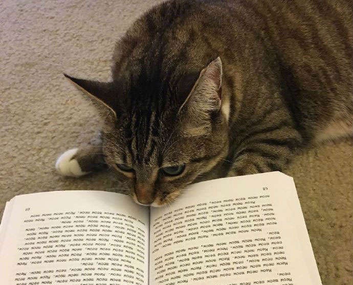 什么猫什么书的成语_成语故事图片