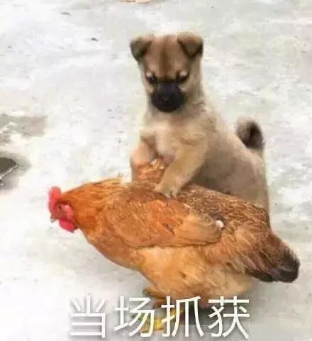 
富二代花4300万进斯坦福，全球619所野鸡大学曝光，这条产业链有多可怕！



