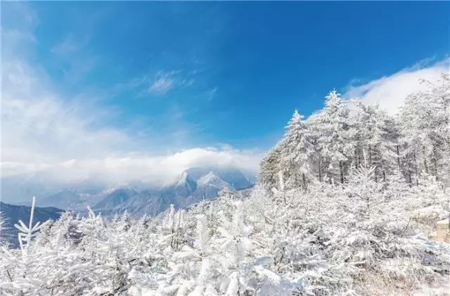 冰天雪地简谱_冰天雪地图片(3)