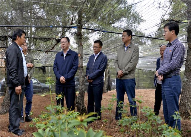 富源:唐开荣到墨红镇调研脱贫攻坚工作