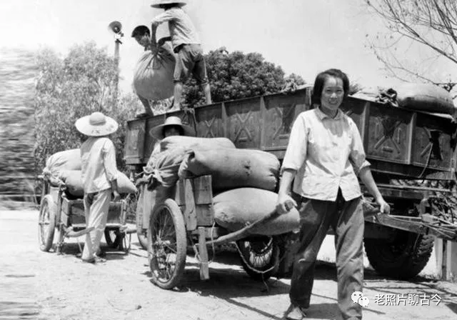 50年代的中国老照片:小学生捡稻灭螟虫,穿旗袍的美女杀猪利落!