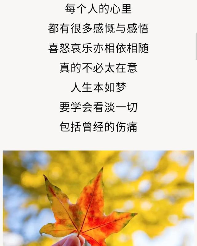 人生,太多身不由己!