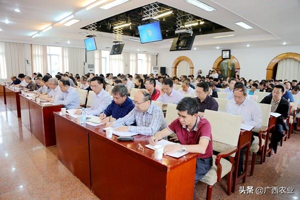 2019年经济社会改革_本市经济2019年一季度 开门红(2)