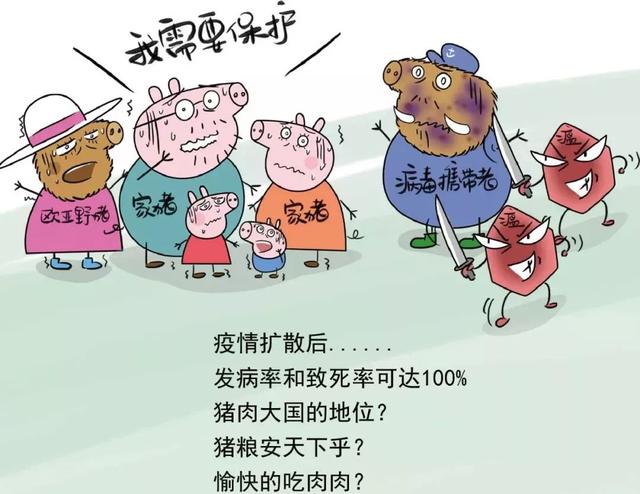 百毒杀怎么用