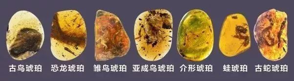 
原创
你见过疯狂追星玩微博很六的美女科学家吗？这里就有一个


