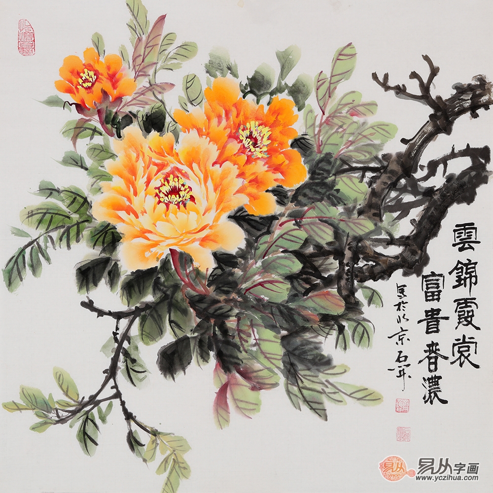 王黄来历 538b3188e3fc4584a25d553f7a64162a.jpeg