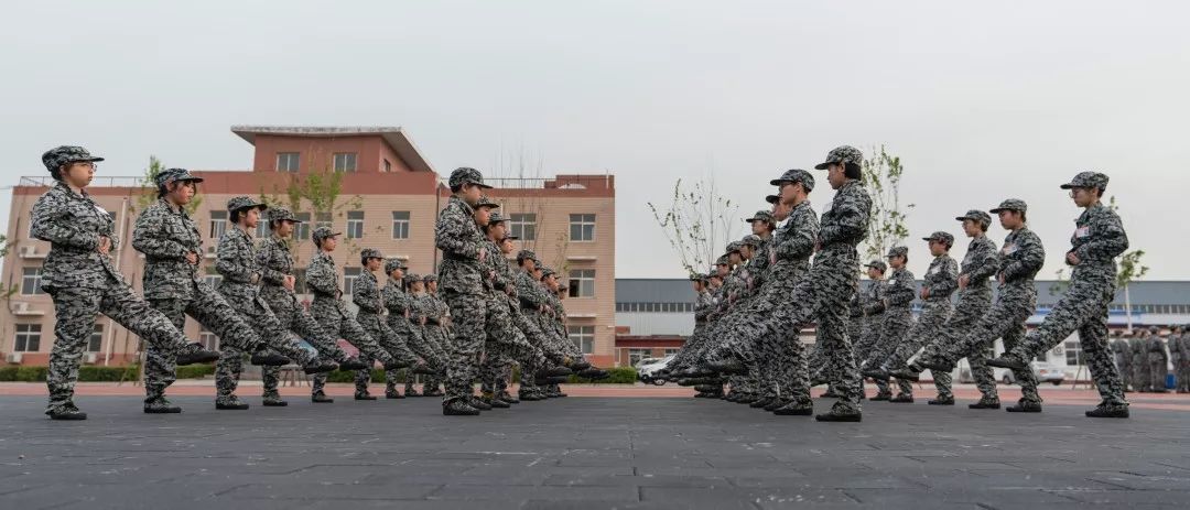 每日精选多图 | 军训 · 拼搏
