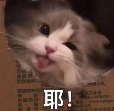 63fce0c4977e480e832887f9c8477d7a.jpeg