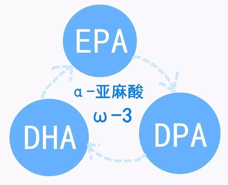 助力宝宝大脑发育富含α亚麻酸它比核桃油营养更丰富