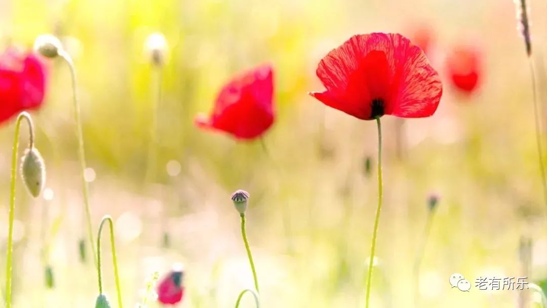 人怎么才能做到心无杂念 6953a8018777471490e52355fbb2bd5b.jpeg