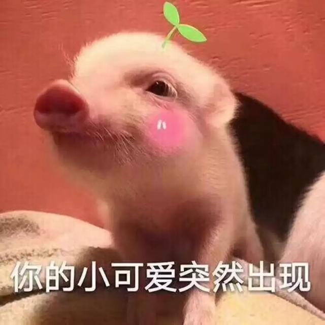 703f9a040a694aa4b4b54379fdca9624.jpeg