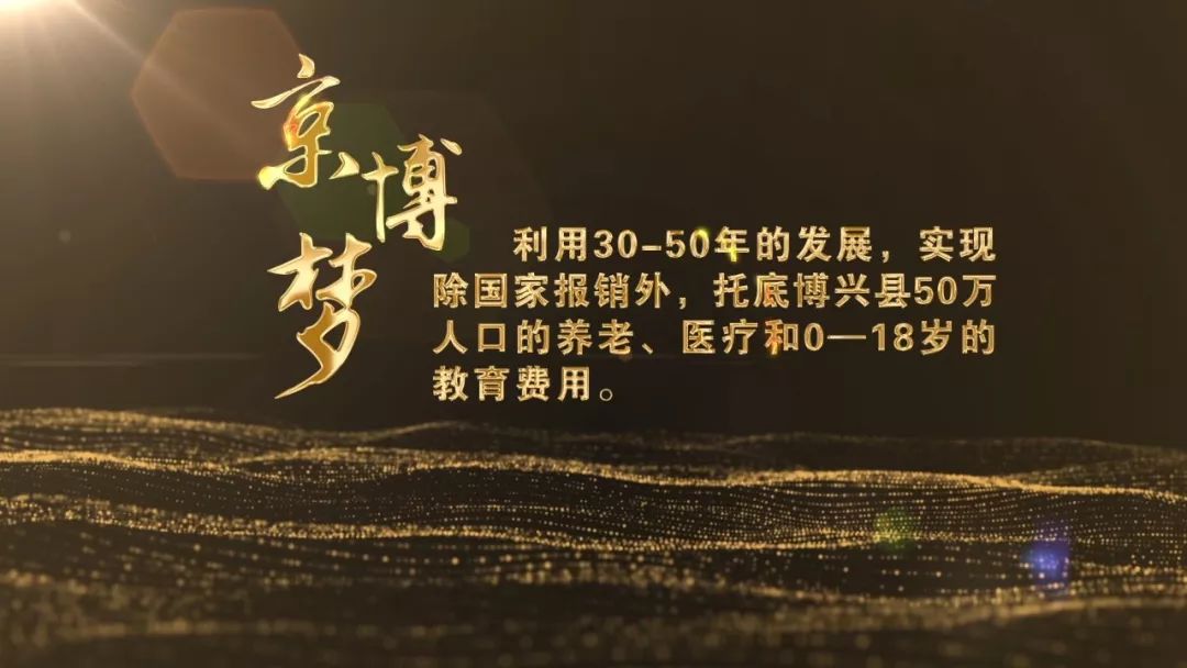 京博集团2019年GDP_2019年各省gdp