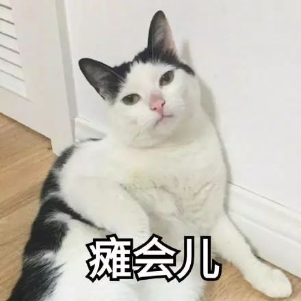77efc98c119d43ba8b3e468b09978961.jpeg