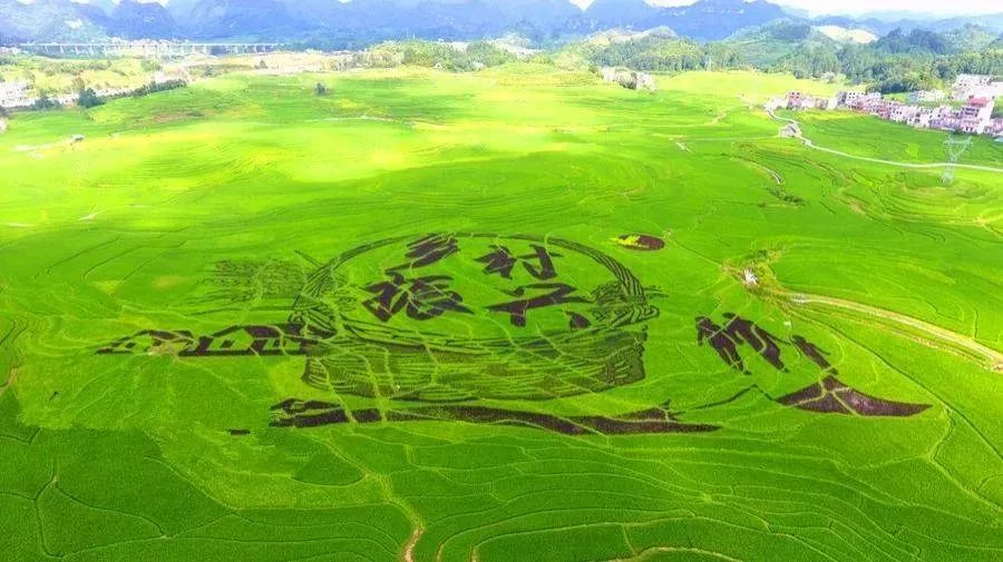 什么土地不属于耕地 78d4058e03194986af8b559a283413a1.jpeg