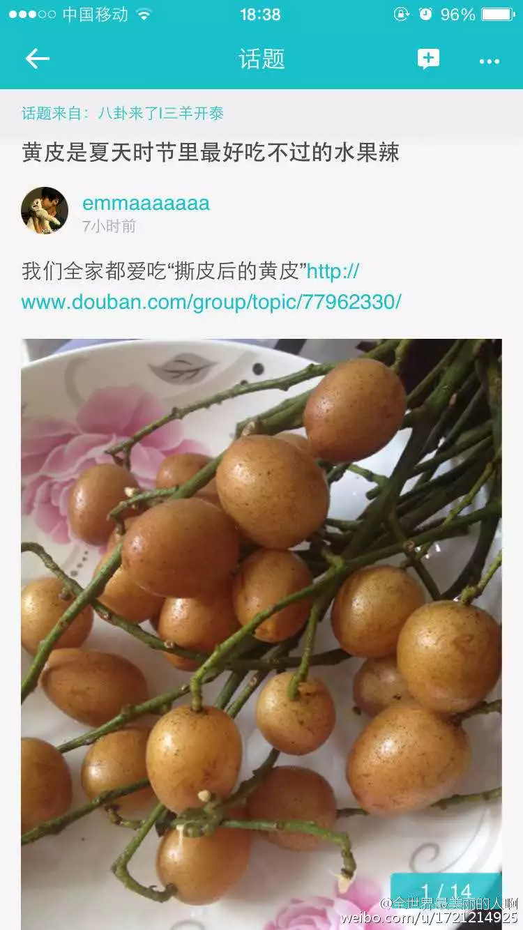 什么是黄皮什么是偏黄皮 7c6356b6627b44fd857217d0dcc2f46a.jpg