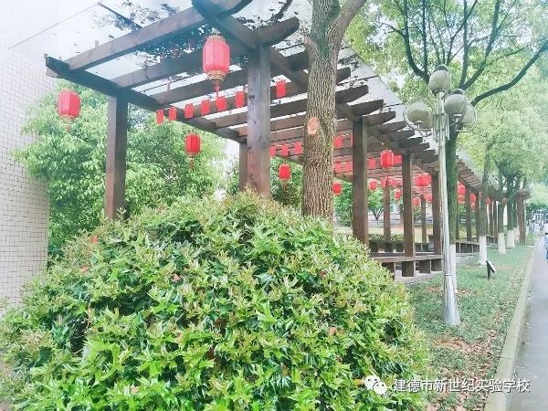 
人均年薪不低于20万元，建德这所学校招聘新教师啦！快打开看看！


