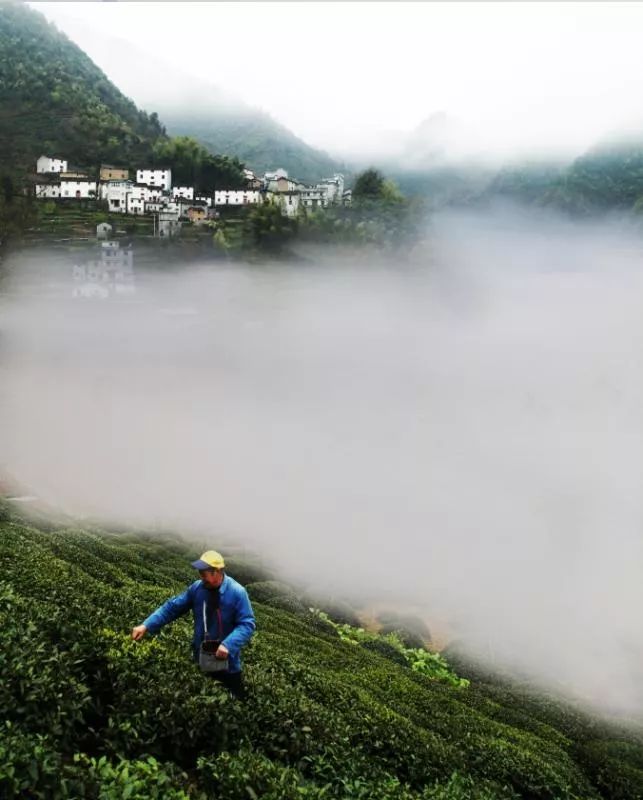 探路者千岛湖鸠坑万岁岭古道探秘丨俱乐部版