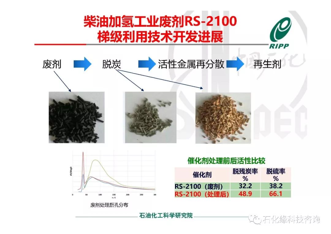 生命的催化剂