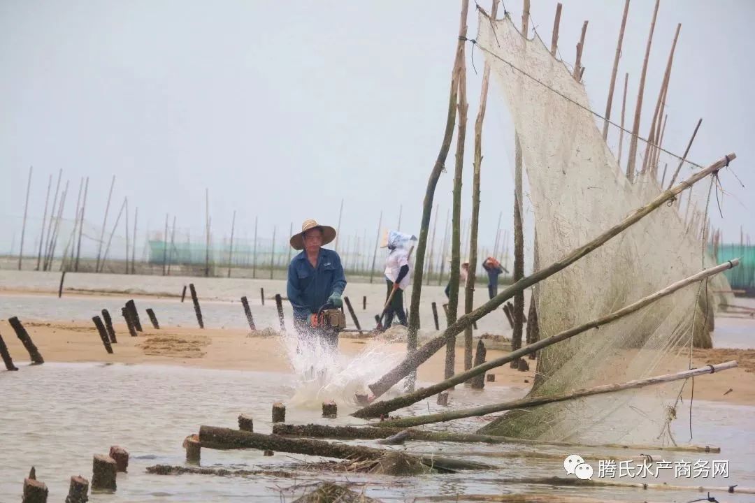 塘禄村人口_南京禄口机场