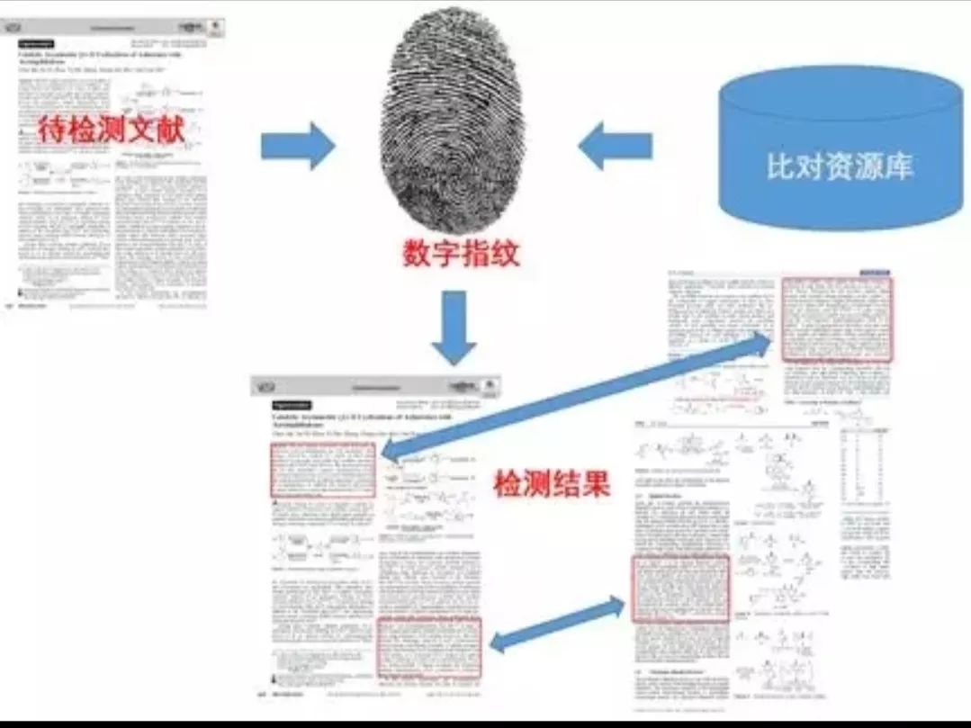 论文引用部分怎么标注