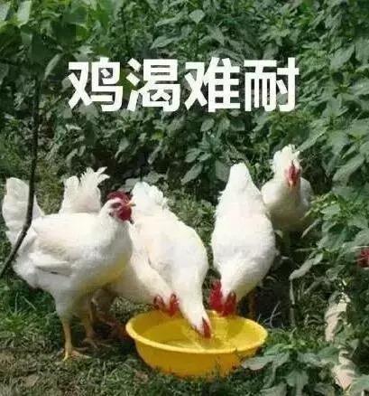 
富二代花4300万进斯坦福，全球619所野鸡大学曝光，这条产业链有多可怕！


