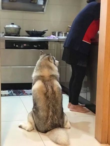 什么是虎背熊腰 89ce680c1fec40eca128ccbf6ea00551.jpeg