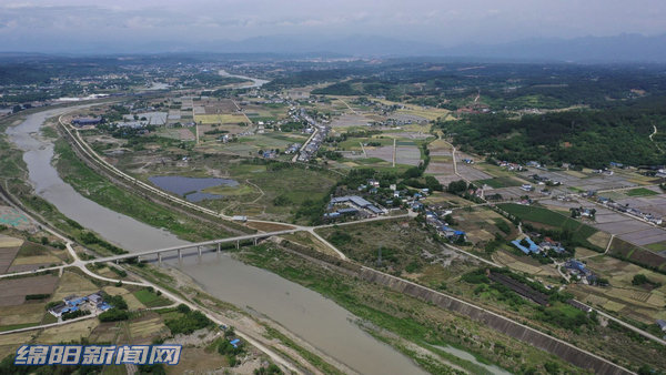 8日,记者在花荄镇龙兴村家庭农场看到,四台收割机徜徉在650亩的油菜