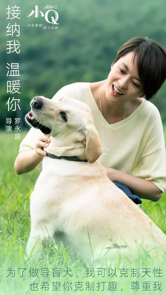 定档8月1日《小q》导盲犬小q"爱与忠诚"的一生