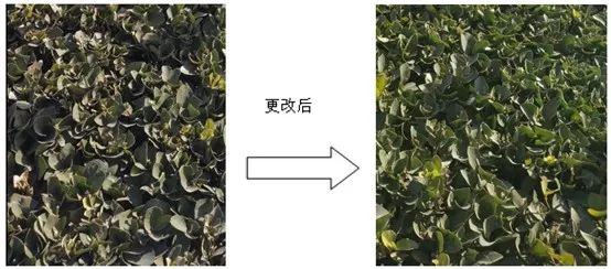 技术科普丨平台效果调试篇5-Green zone