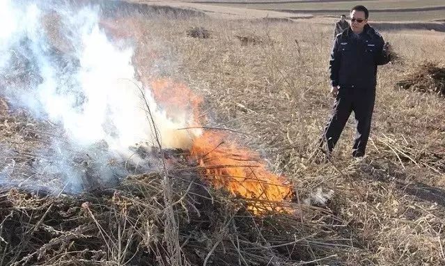 西吉县人口_西吉的第一场大雪跟西吉人开了如此大的一个玩笑