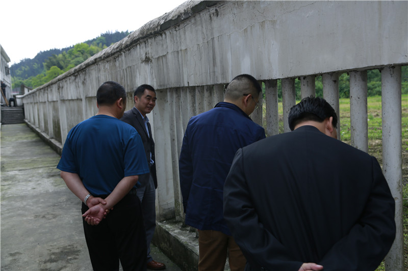 
桃源县教育局局长督查教育管理年、“三年行动”计划推进情况



