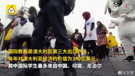 原创
澳洲多所高校取消英语要求,坑了多少中国留学生?
原创
澳洲多所高校取消英语要求,坑了多少中国留学生?