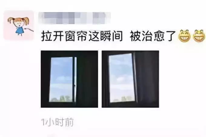 2019年经济运行情况_阜阳 2019年一季度经济运行情况(3)