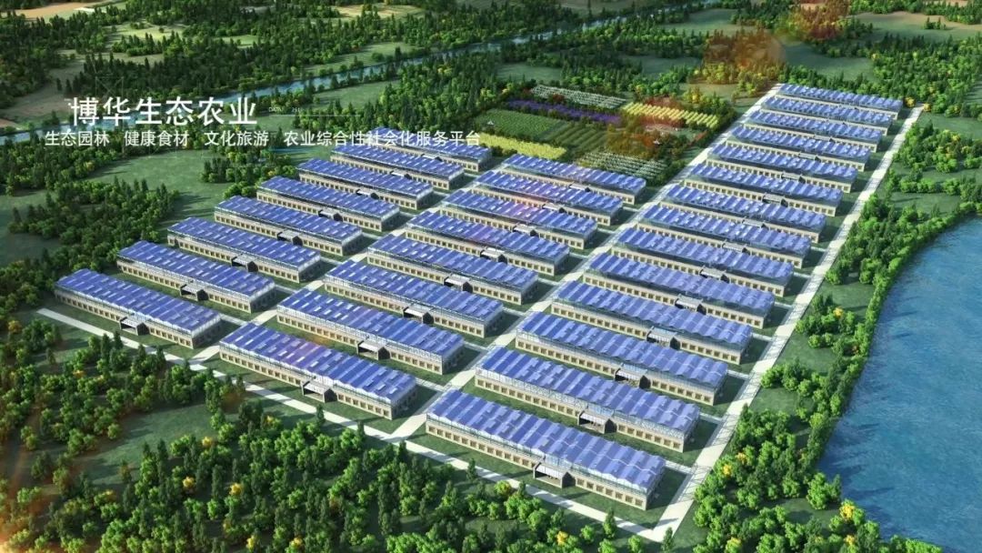 京博集团2019年GDP_2019年各省gdp