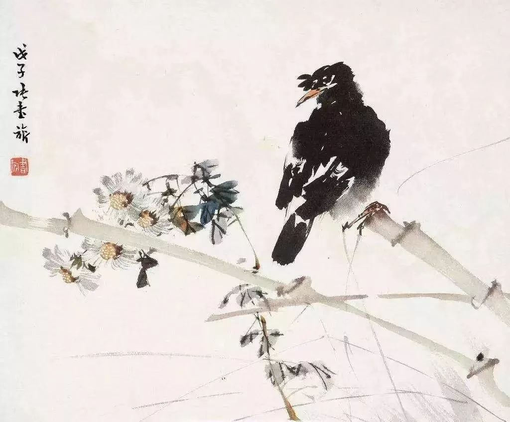 张书旗 会留白才是真境界 花鸟100幅 