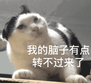 表情| 一些猫咪表情包