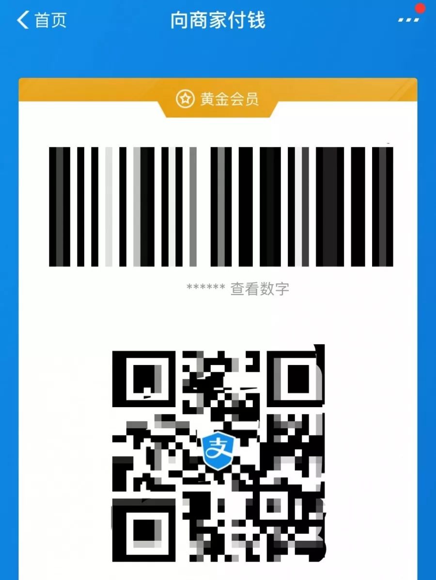 付款码有哪些 97c4dc5e7e4349e3a5fb566a8774b4ef.jpeg