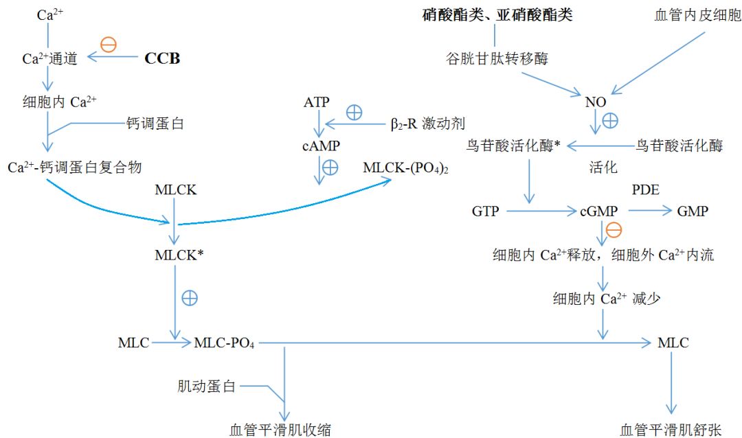 gdp是什么意思二磷酸鸟苷_萃枫苷是什么图片(2)