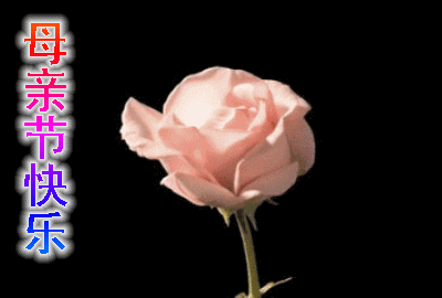 壁纸 花 桌面 400_270 gif 动态图 动图