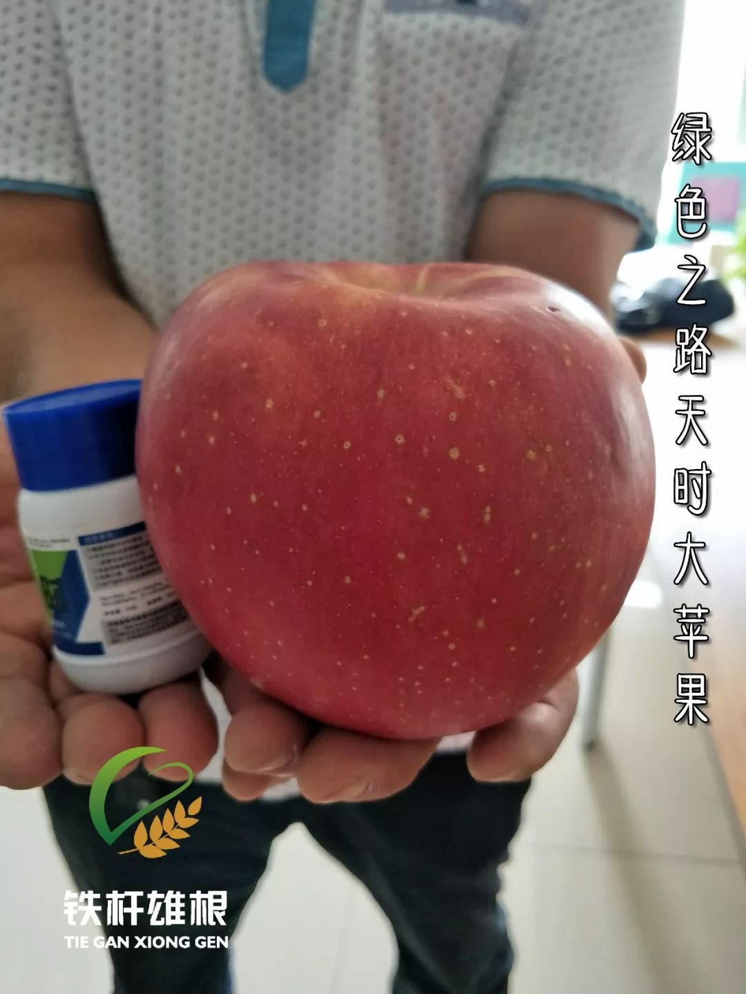 ac81bf268b7040f88b90f1686f865e4f.jpeg