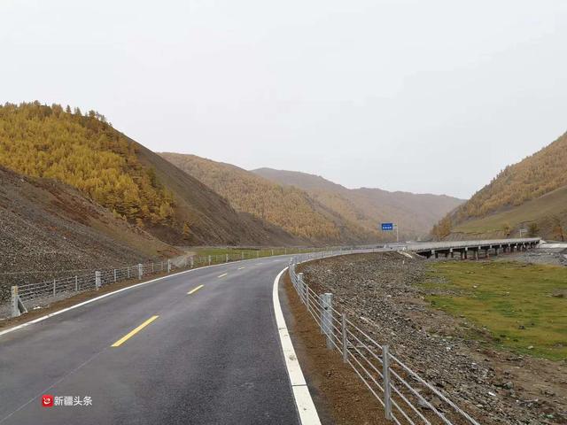 G219線吉木乃至和布克賽爾公路通車 六月里沿途花海會很美 旅遊 第3張