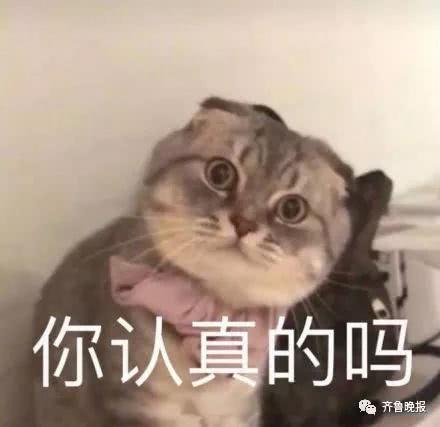 
山东一高校申请改名“财富管理大学”引网友吐槽，学校：更名是全校人的梦想


