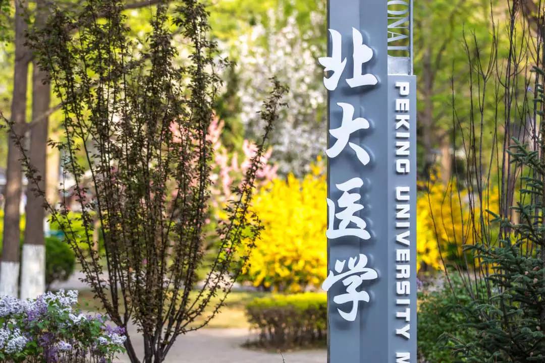 
北大学霸:最后28天,请务必做到这几点!稍不留神高考就毁了


